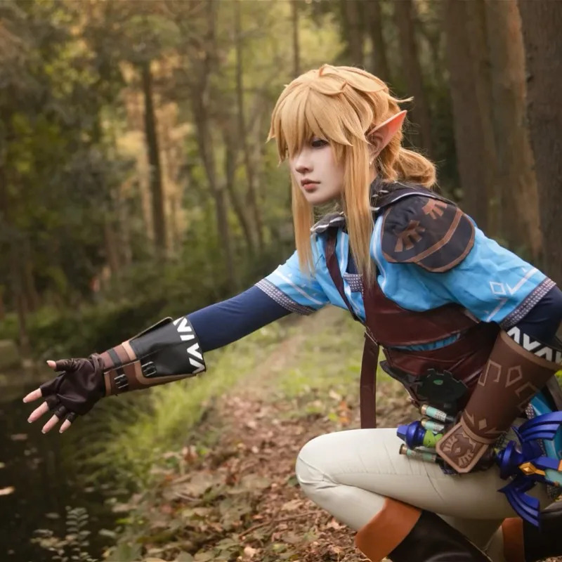 Spiel Zelda Breath of The Wild – Zelda Party Games Bewertung und Preis